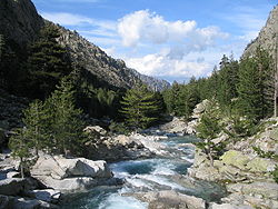 Riviere-restonica.jpg