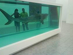 Shark83.JPG