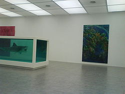 Shark86.JPG
