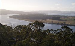 Tamar river.JPG