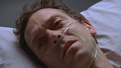 Three Stories House.M.D.JPG