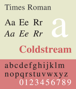 Times New Roman
