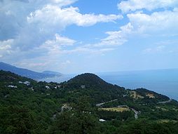 P6301201.JPG