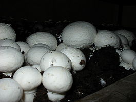 101-0114 IMG.JPG