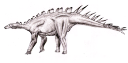 Dacentrurus.png