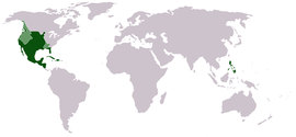 New Spain.png