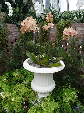 Phipps - 223.JPG