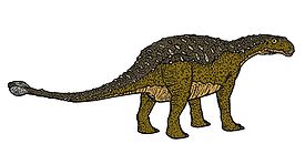 Talarurus 4900.JPG