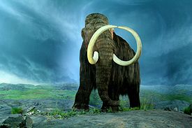 Wooly Mammoth-RBC.jpg