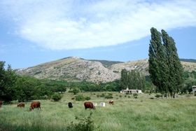 Chalbash gora 005 mini.JPG