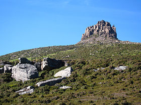 Lower slopes.jpg