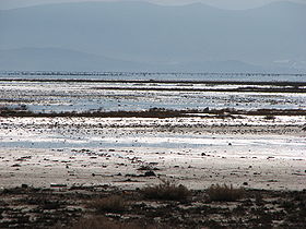 Maharloo Lake.JPG