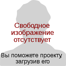 Константин Иванович Грищенко