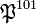 \mathfrak{P}^{101}