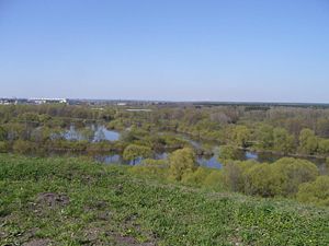 Впадение Болвы в Десну. Вдали виден автомобильный мост через Болву.