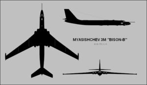Bison 3.png