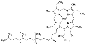 Chlorophyll a structure.svg