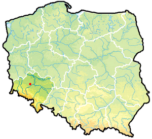 Гмина Хойнув, карта