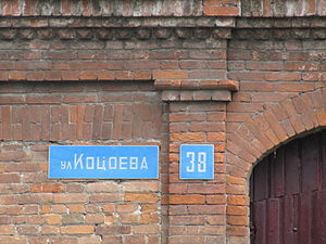Фотография