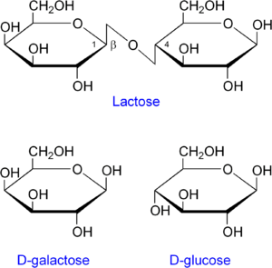 Lactose etc.png