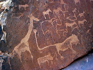 Lion Twyfelfontein Namibia.JPG