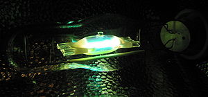 Metal halide warming up.JPG