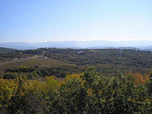 Nauchniy 3.JPG