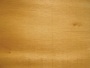 Pappel Holz.JPG