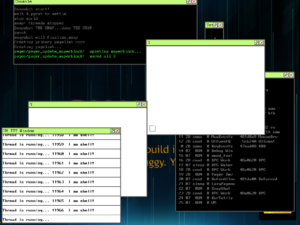 Phantom OS