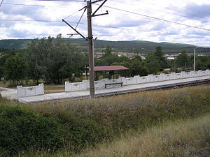 Pl.1479 1.JPG