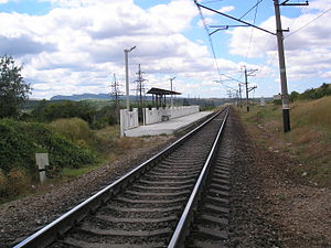 Pl.1479 2.JPG