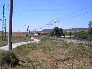 Pl.1486 1.JPG