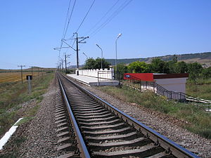 Pl.1486 3.JPG