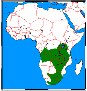 Poecilogale albinucha range map.png