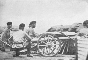 RML2.5inchMountainGunDefenceOfKimberley.jpg