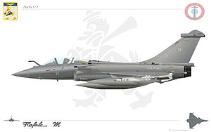 RafaleMflotille12F.jpg
