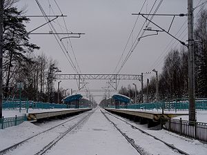 Repino platform view.JPG