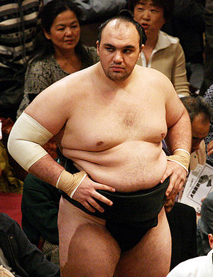 Roho Yukio 2008 May.jpg