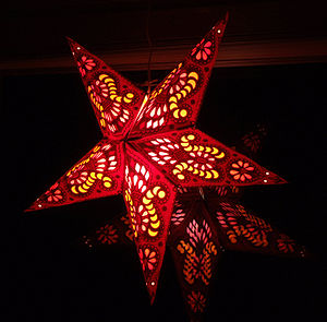 Roter Weihnachtsstern.jpg