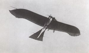 RumplerTaubeInFlight.jpg