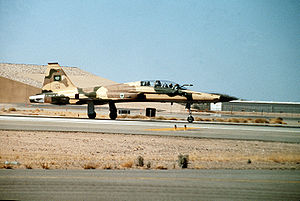 Saudi Tiger.JPEG
