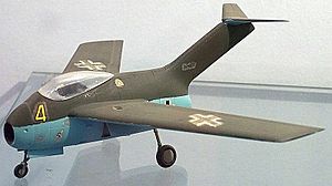 Ta 183 Modell.jpg
