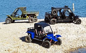 Tomcar Multiple.jpg