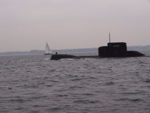 U22.JPG