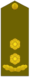 ES-Army-OF4.gif