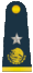 General brigadier FAM.gif