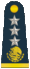 General de division FAM.gif