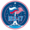 ISS Expedition 17 patch.png