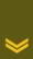 LT-Army-OR5a.gif