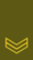 LT-Army-OR5b.gif